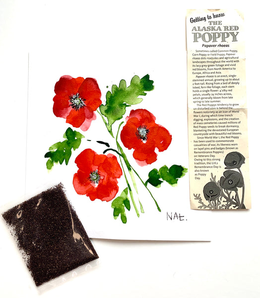 Red Poppies- Art Print and Seeds